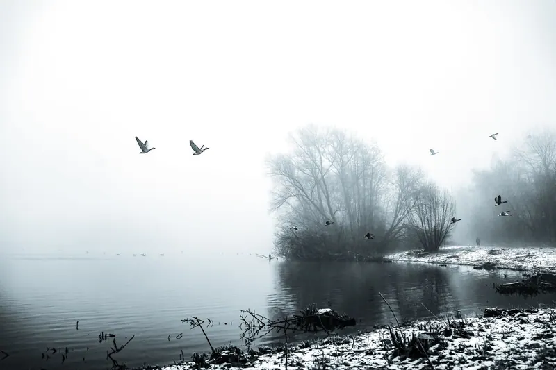 Kalter See an einem Wintermorgen